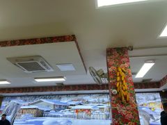 -九妹农家大铁锅东北菜(江湾店)