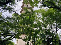 -江心屿景区