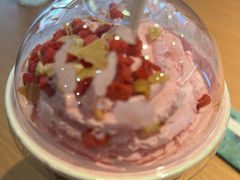 -雾与山茶(大禹城店)