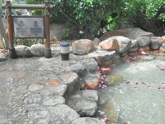 android_upload_pic-厦门日月谷温泉渡假村
