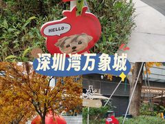 -深圳湾万象城(南山店)