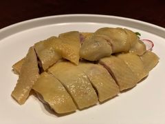 白切湛江走地鸡-粤界(望京金辉店)