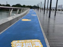 -深圳湾公园(南山区)