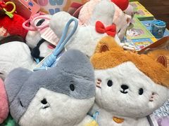 -猫的天空之城概念书店(大学路店)