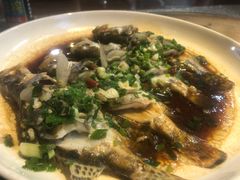 葱油桂鱼-好灶头妈妈菜·柴火灶台鱼·千岛湖土菜地标美食
