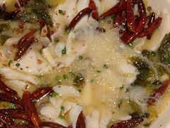 -首秀·四川料理(星耀101店)