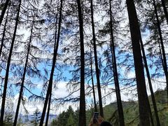 -硗碛藏寨·神木垒景区