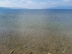 -月亮湾湿地公园