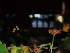 -乾州古城
