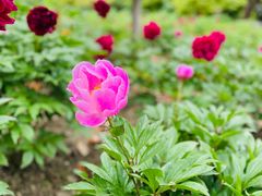 -江南大学(蠡湖校区)