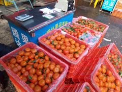 -上海龙吴水胜海发市场