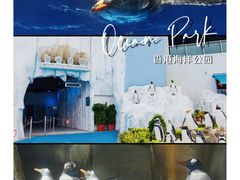 -香港海洋公园