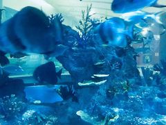 -常州海昌海洋探索馆