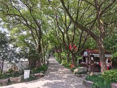 -杭州半山国家森林公园