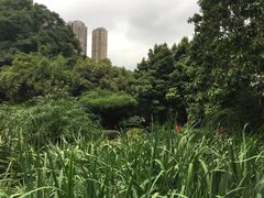 -成都市活水公园