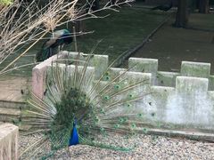 -南京金牛湖风景区
