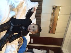 西苑饭店-北京西苑饭店(动物园地铁站店)