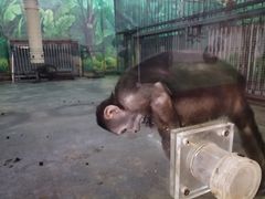 -西安秦岭野生动物园