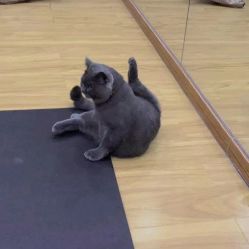 -威思丽高温瑜伽会馆