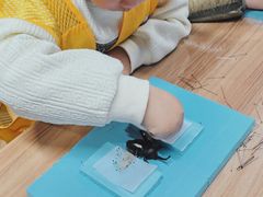 -上海昆虫博物馆