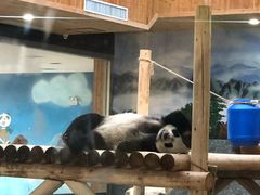 -西安秦岭野生动物园