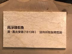 -白鹤梁水下博物馆