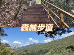 -霸王岭国家森林公园