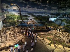 -自贡恐龙博物馆