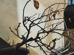 -La Maison 夜来香(进贤路店)