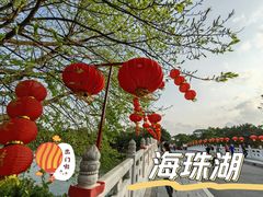 -海珠湖公园