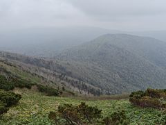 -凤凰山国家森林公园