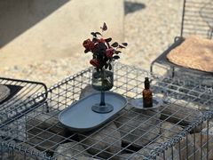 -自由生长植物工作室(深港花卉中心店)