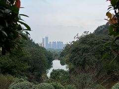 -桃花岭景区