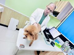 -瑞鹏宠物医院犬猫全科(真大分院)