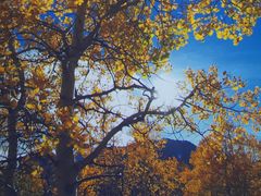 -苏州青少年科技馆