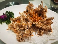 避风塘濑尿虾-大东海海鲜酒楼(渔人码头总店)