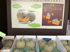 -富田农场