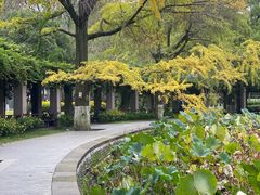 -四川大学(华西校区)