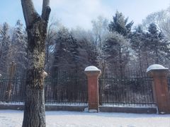 -黑龙江省森林植物园