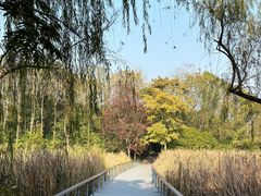 -长广溪湿地公园