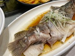 清蒸海鲈鱼-刘胖子家常菜·蹄花焖藕(中南店)