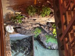 -山水茶艺馆·点心粤菜·30年老字号