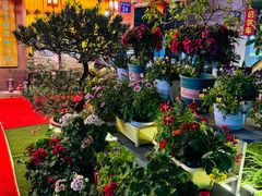 -山水茶艺馆·点心粤菜·30年老字号