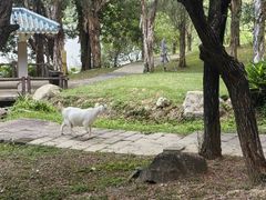 -福建鲤鱼洲酒店