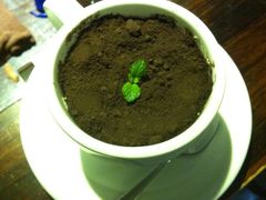 image-109 COFFEE(建筑学院店)