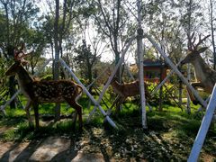 -武清南湖绿博园