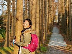 -上海长兴岛郊野公园