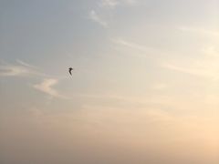 -江苏省泗阳县成子湖旅游度假区综合服务中心-停车场