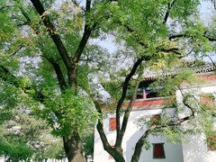 -普陀宗乘之庙(小布达拉宫)