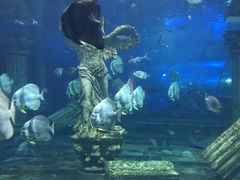 -梦幻海洋王国(吾悦广场张家港店)